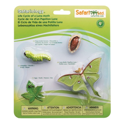 An image of a Safari Ltd Life Cycle Of A Luna Moth Set.