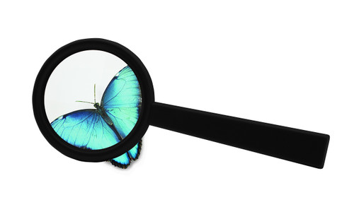 An image of a Safari Ltd Plastic Magnifying Lens.